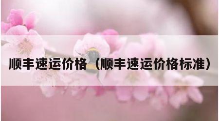 顺丰速运价格（顺丰速运价格标准）