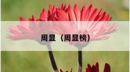 周显（周显榜）