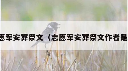 志愿军安葬祭文（志愿军安葬祭文作者是谁）
