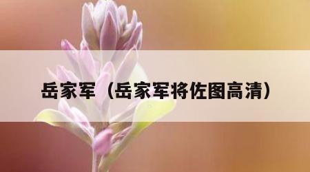 岳家军（岳家军将佐图高清）