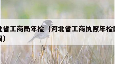 河北省工商局年检（河北省工商执照年检网上申报）