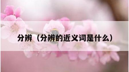 分辨（分辨的近义词是什么）