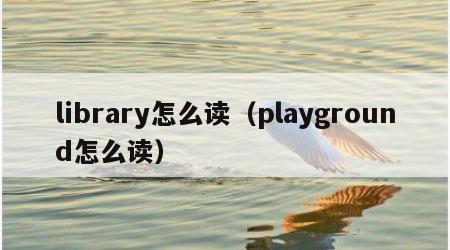 library怎么读（playground怎么读）