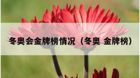 冬奥会金牌榜情况（冬奥 金牌榜）