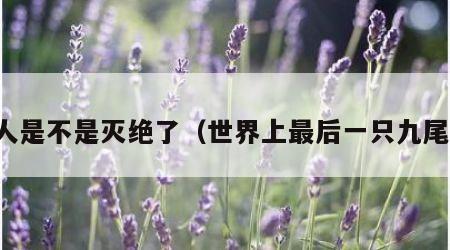 鲛人是不是灭绝了（世界上最后一只九尾狐）