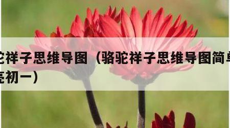 骆驼祥子思维导图（骆驼祥子思维导图简单又漂亮初一）