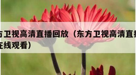 东方卫视高清直播回放（东方卫视高清直播回放在线观看）