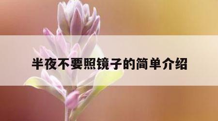 半夜不要照镜子的简单介绍