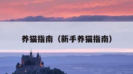 养猫指南（新手养猫指南）