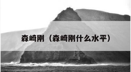 森崎刚（森崎刚什么水平）