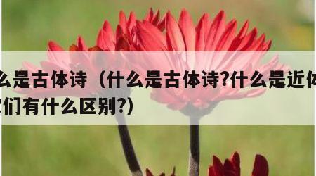 什么是古体诗（什么是古体诗?什么是近体诗?它们有什么区别?）