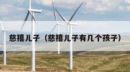 慈禧儿子（慈禧儿子有几个孩子）