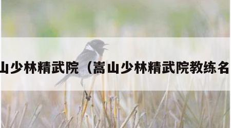 嵩山少林精武院（嵩山少林精武院教练名单）