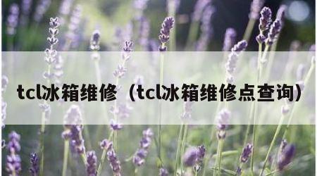 tcl冰箱维修（tcl冰箱维修点查询）
