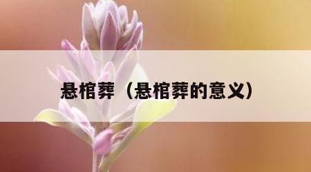 悬棺葬（悬棺葬的意义）