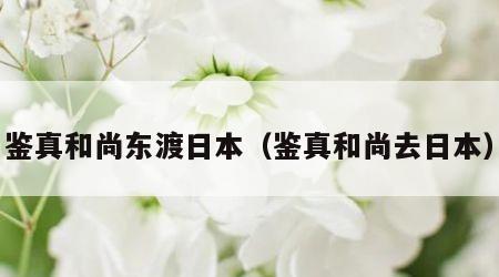 鉴真和尚东渡日本（鉴真和尚去日本）