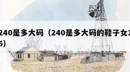 240是多大码（240是多大码的鞋子女15）