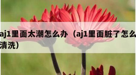 aj1里面太潮怎么办（aj1里面脏了怎么清洗）