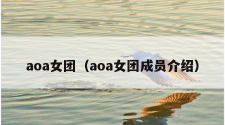 aoa女团（aoa女团成员介绍）