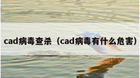 cad病毒查杀（cad病毒有什么危害）