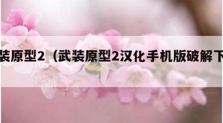 武装原型2（武装原型2汉化手机版破解下载）