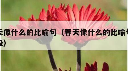 春天像什么的比喻句（春天像什么的比喻句七年级）