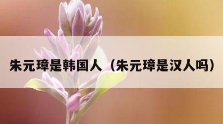 朱元璋是韩国人（朱元璋是汉人吗）