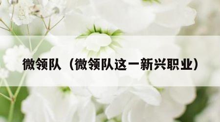 微领队（微领队这一新兴职业）