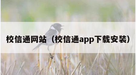 校信通网站（校信通app下载安装）