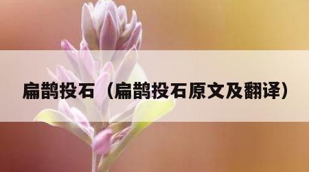 扁鹊投石（扁鹊投石原文及翻译）