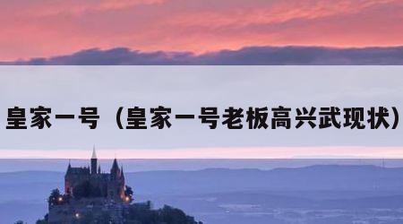 皇家一号（皇家一号老板高兴武现状）