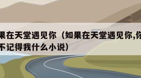 如果在天堂遇见你（如果在天堂遇见你,你还记不记得我什么小说）