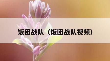 饭团战队（饭团战队视频）