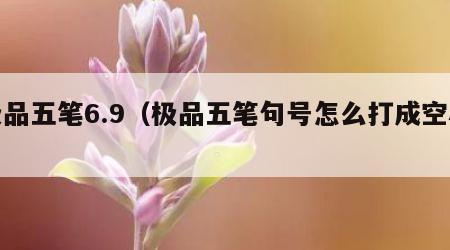 极品五笔6.9（极品五笔句号怎么打成空心）