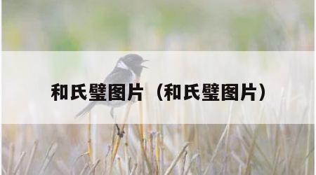 和氏璧图片（和氏璧图片）