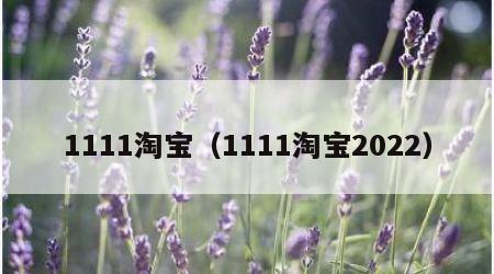 1111淘宝（1111淘宝2022）