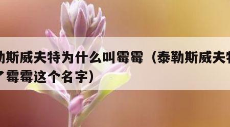 泰勒斯威夫特为什么叫霉霉（泰勒斯威夫特注册了霉霉这个名字）