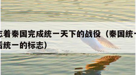 标志着秦国完成统一天下的战役（秦国统一全国后统一的标志）