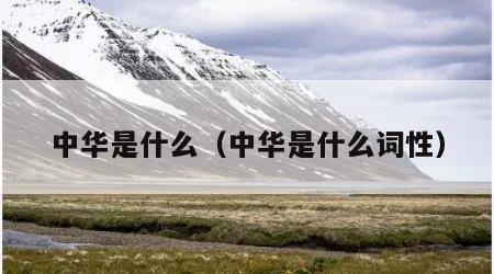 中华是什么（中华是什么词性）