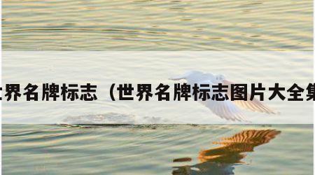 世界名牌标志（世界名牌标志图片大全集）