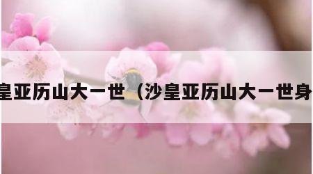 沙皇亚历山大一世（沙皇亚历山大一世身高）