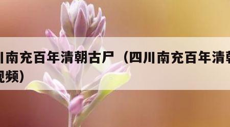 四川南充百年清朝古尸（四川南充百年清朝古尸视频）