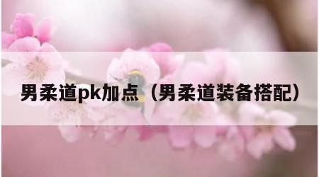 男柔道pk加点（男柔道装备搭配）