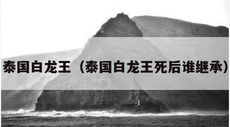 泰国白龙王（泰国白龙王死后谁继承）