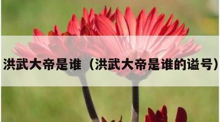 洪武大帝是谁（洪武大帝是谁的谥号）