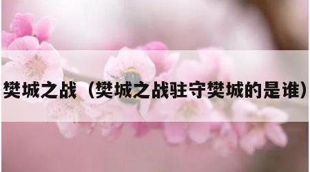樊城之战（樊城之战驻守樊城的是谁）