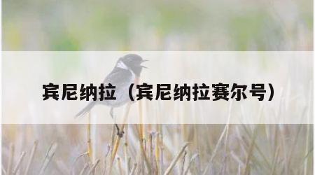 宾尼纳拉（宾尼纳拉赛尔号）