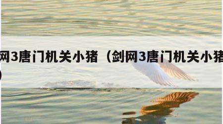 剑网3唐门机关小猪（剑网3唐门机关小猪攻略）