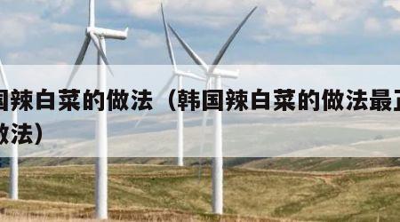 韩国辣白菜的做法（韩国辣白菜的做法最正宗的做法）