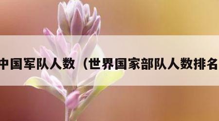 中国军队人数（世界国家部队人数排名）